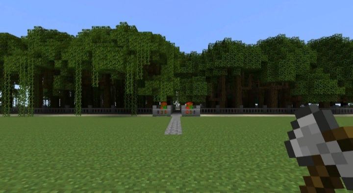 Новые деревья