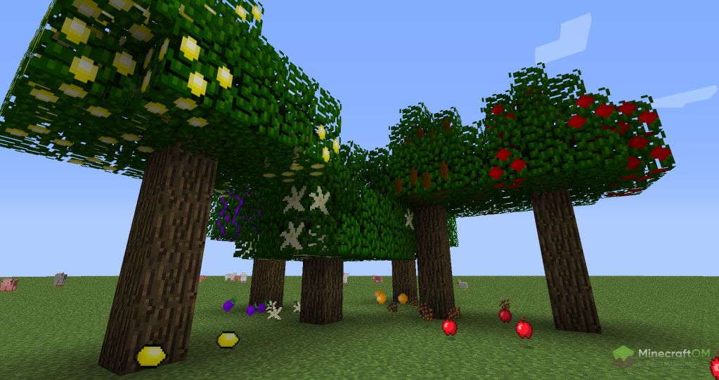 Деревья с фруктами