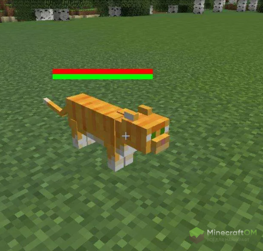 Здоровье кота