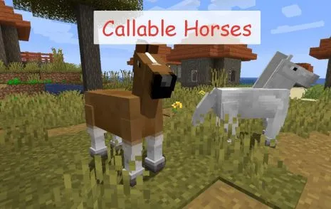 Мод на призыв лошади для Майнкрафт 1.16.5/1.12.2 (Callable Horses)