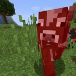 Отображение здоровья