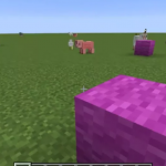 Компас указывает на блок