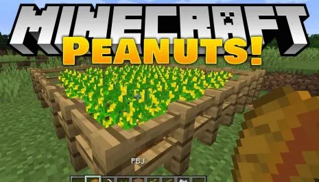 Мод на арахис для Майнкрафт 1.16.5/1.15.2/1.14.4 (Peanuts)