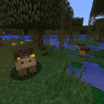 Новое животное