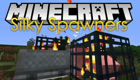 Мод на добычу спавнера для Майнкрафт 1.16.5/1.15.2/1.14.3/1.12.2 (SilkySpawners) Мод на добычу спавнера для Майнкрафт 1.16.5/1.15.2/1.14.3/1.12.2 (SilkySpawners)