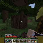 Вид от первого лица