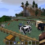 Кормление животных