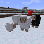 Кормление животных