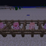 Кормление животных