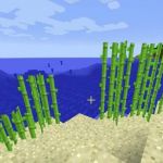 Рост тростника на разном песке