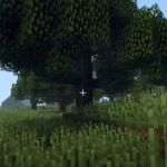 Новые деревья