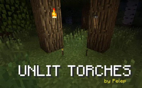 Мод на реалистичные факела для Майнкрафт 1.16.5/1.15.2 (Unlit Torches)