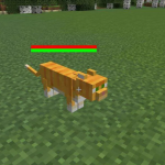 Здоровье кота