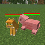 Здоровье животных