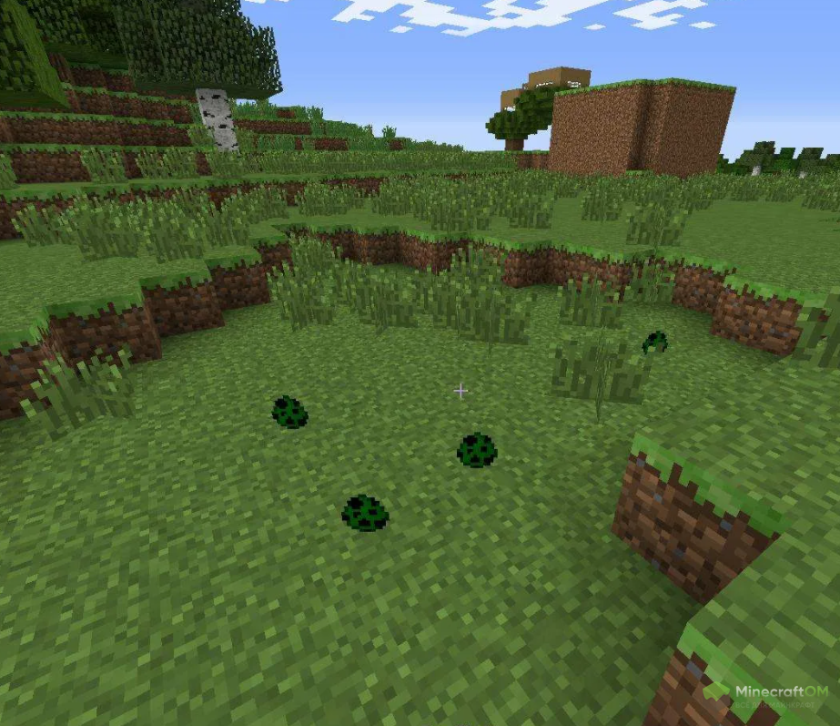 Яйца спавна