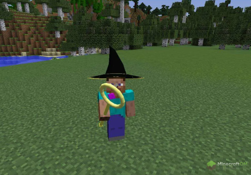 Посох и шляпа