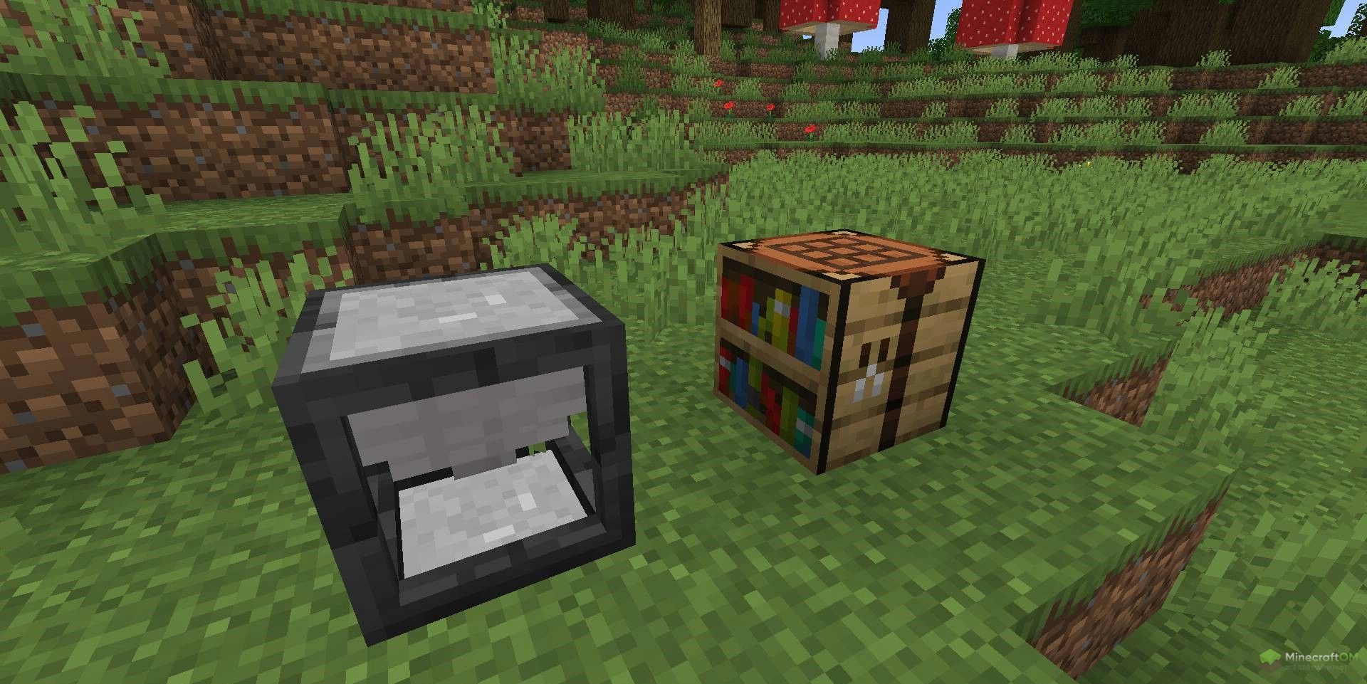 Как они выглядят