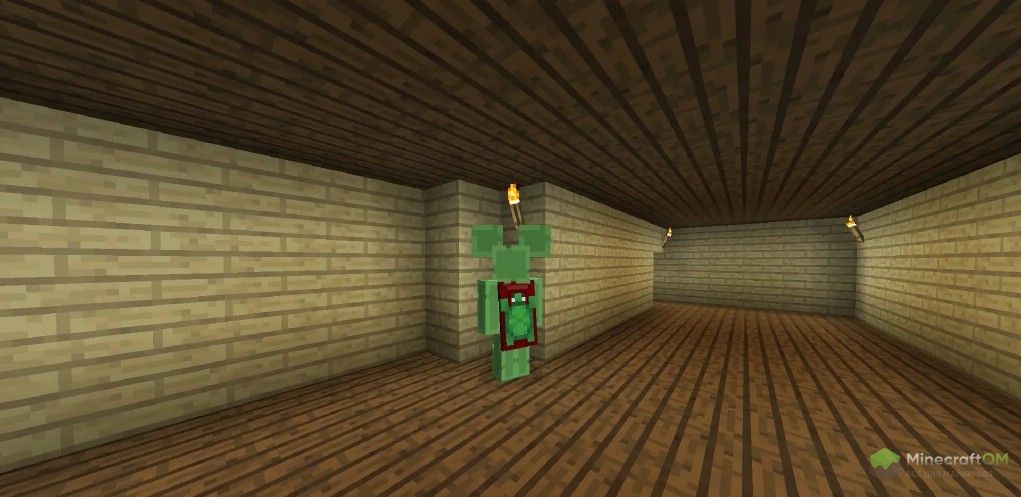 Плащ с черепахой