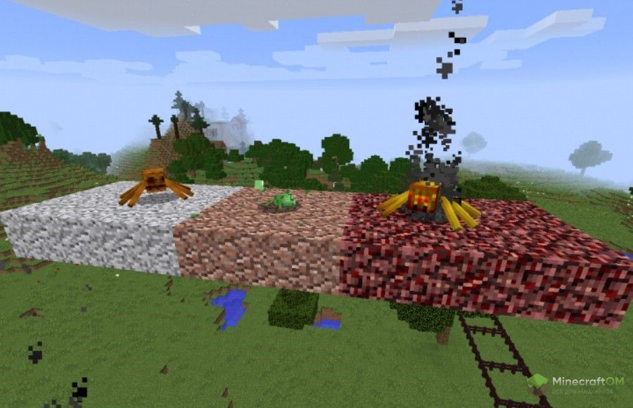 Разные виды пауков