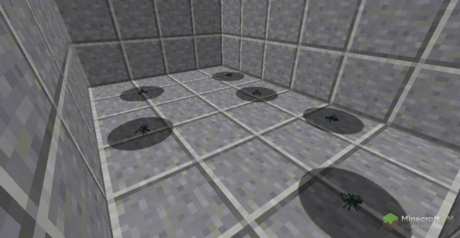 Маленькие паучки