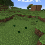 Яйца спавна