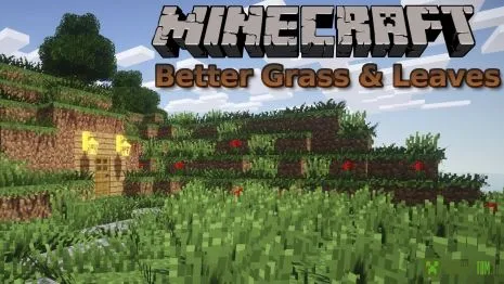 Мод на улучшенную листву для Майнкрафт 1.16.5/1.15.2/1.12.2/1.9.4/1.7.10 (Better Grass and Leaves)