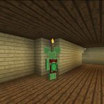 Плащ с черепахой