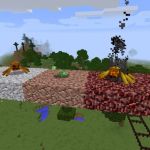 Разные виды пауков