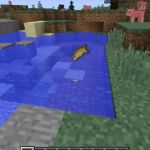 Золотая рыбка