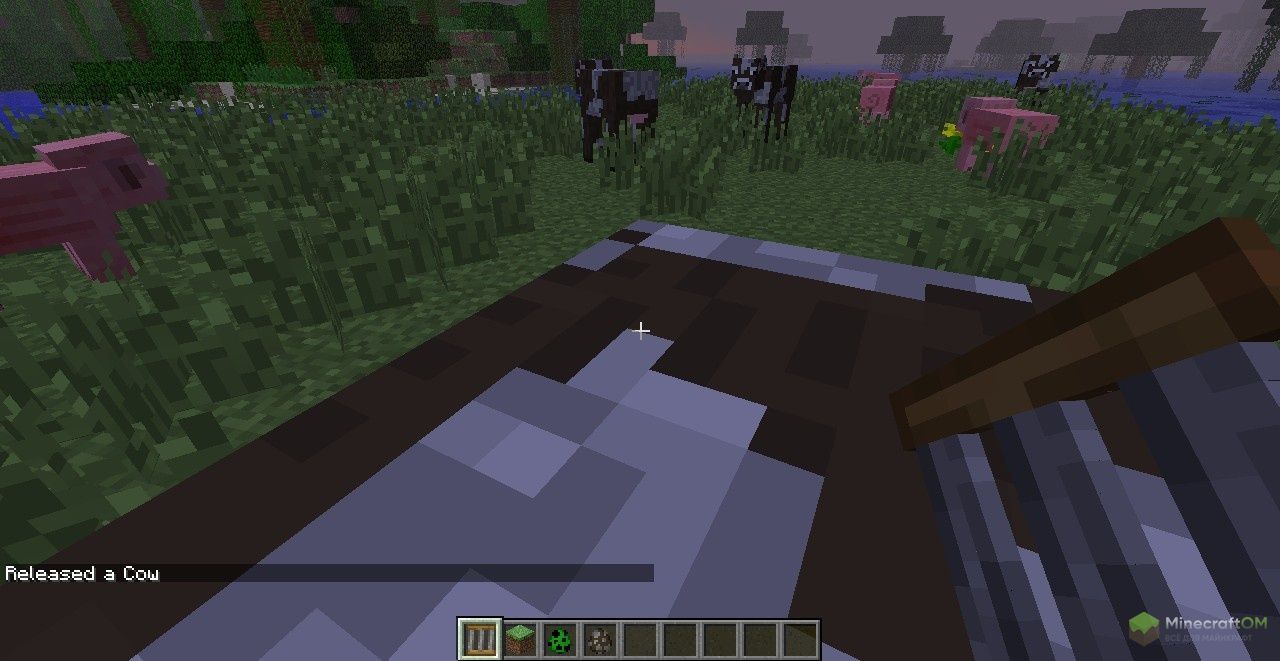 Посадка животного в клетку