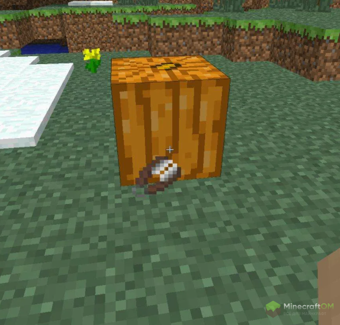 Тыква и ножницы