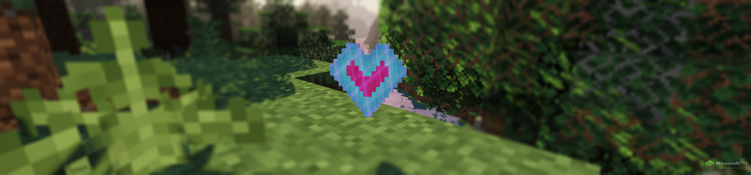 Контейнер жизни