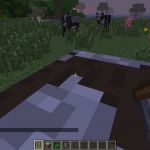 Посадка животного в клетку