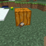 Тыква и ножницы