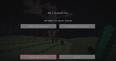 Открываем мир для сети
