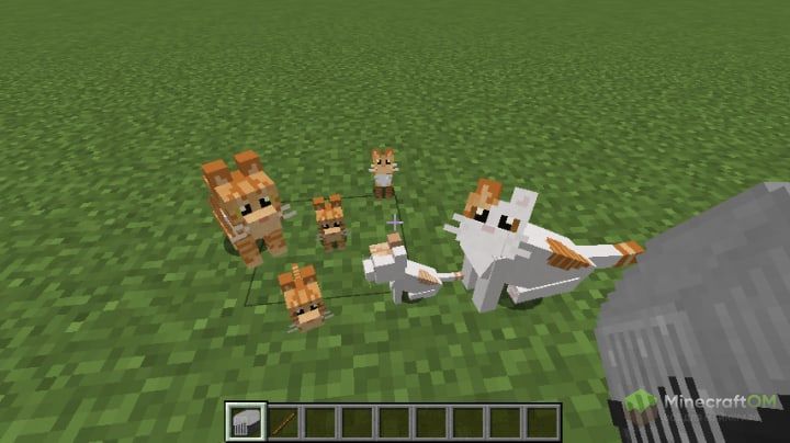 Семейство кошачьих в моде Simple Cats.