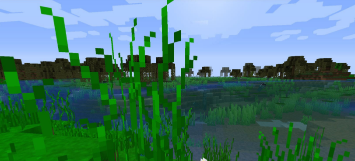 Трава и вода