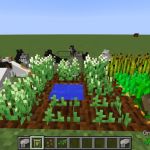 Кошачья мята в моде Simple Cats.