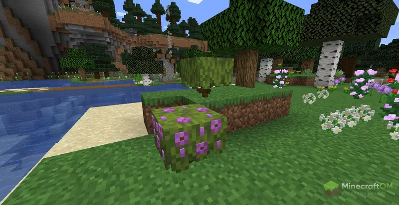 Цветущая азалия