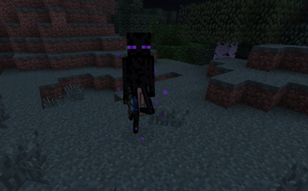 Мистический Эндермен