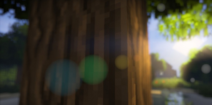 Дерево и блики