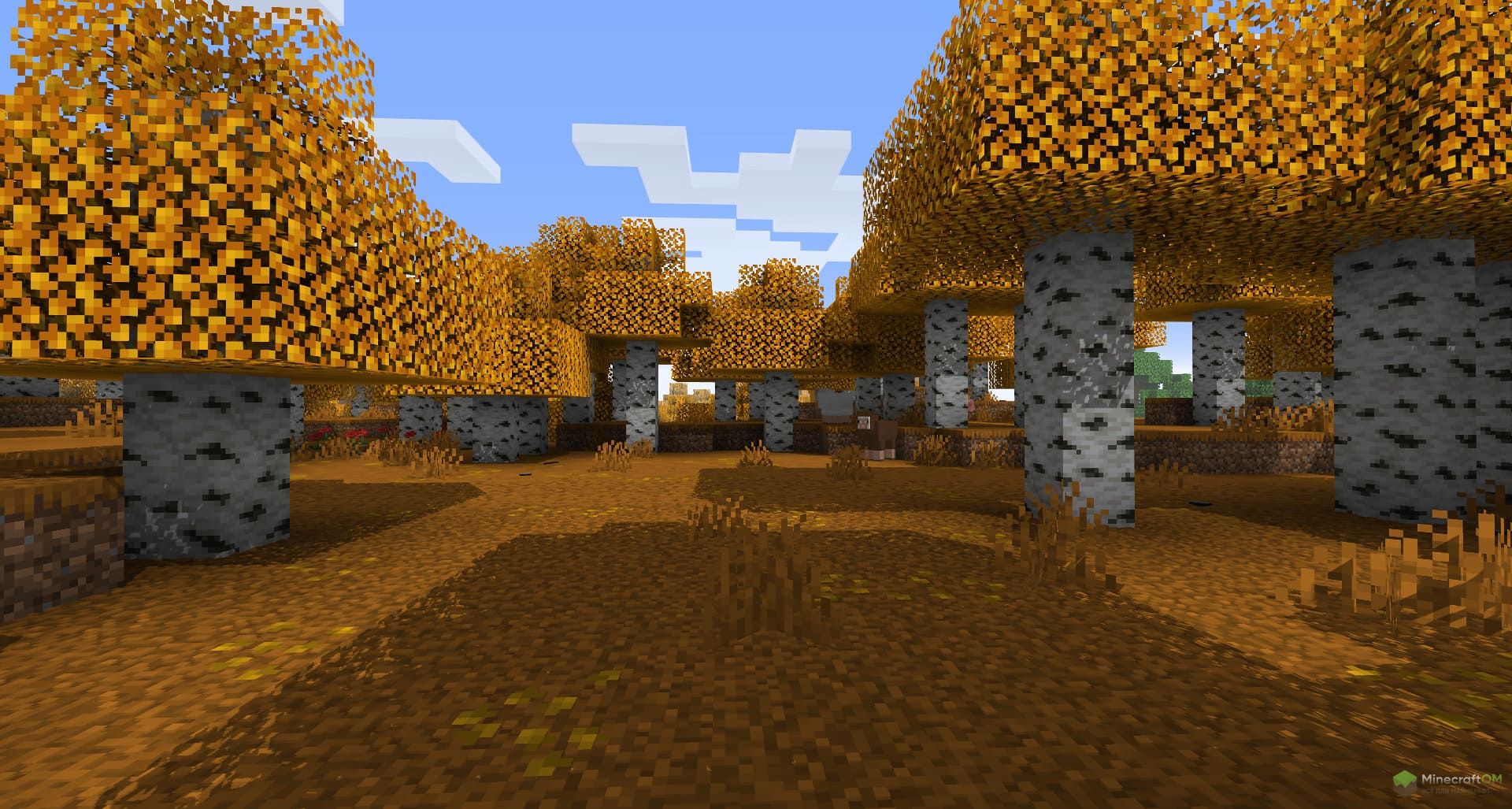 Березовый лес