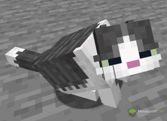 Сидячий кот