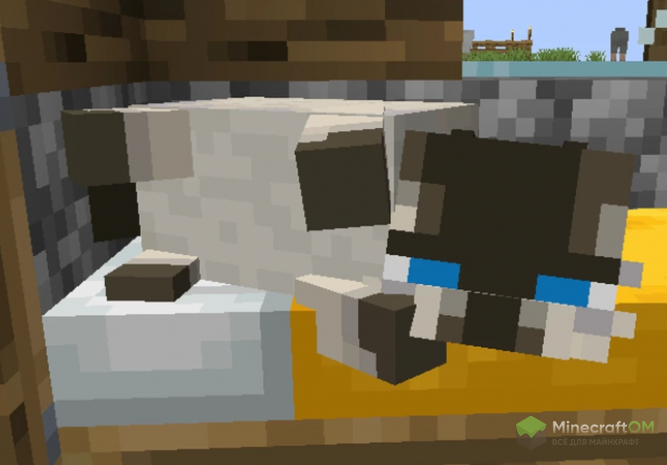 Лежащий кот