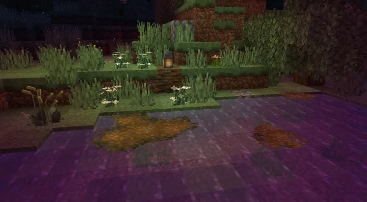 Окружение у воды