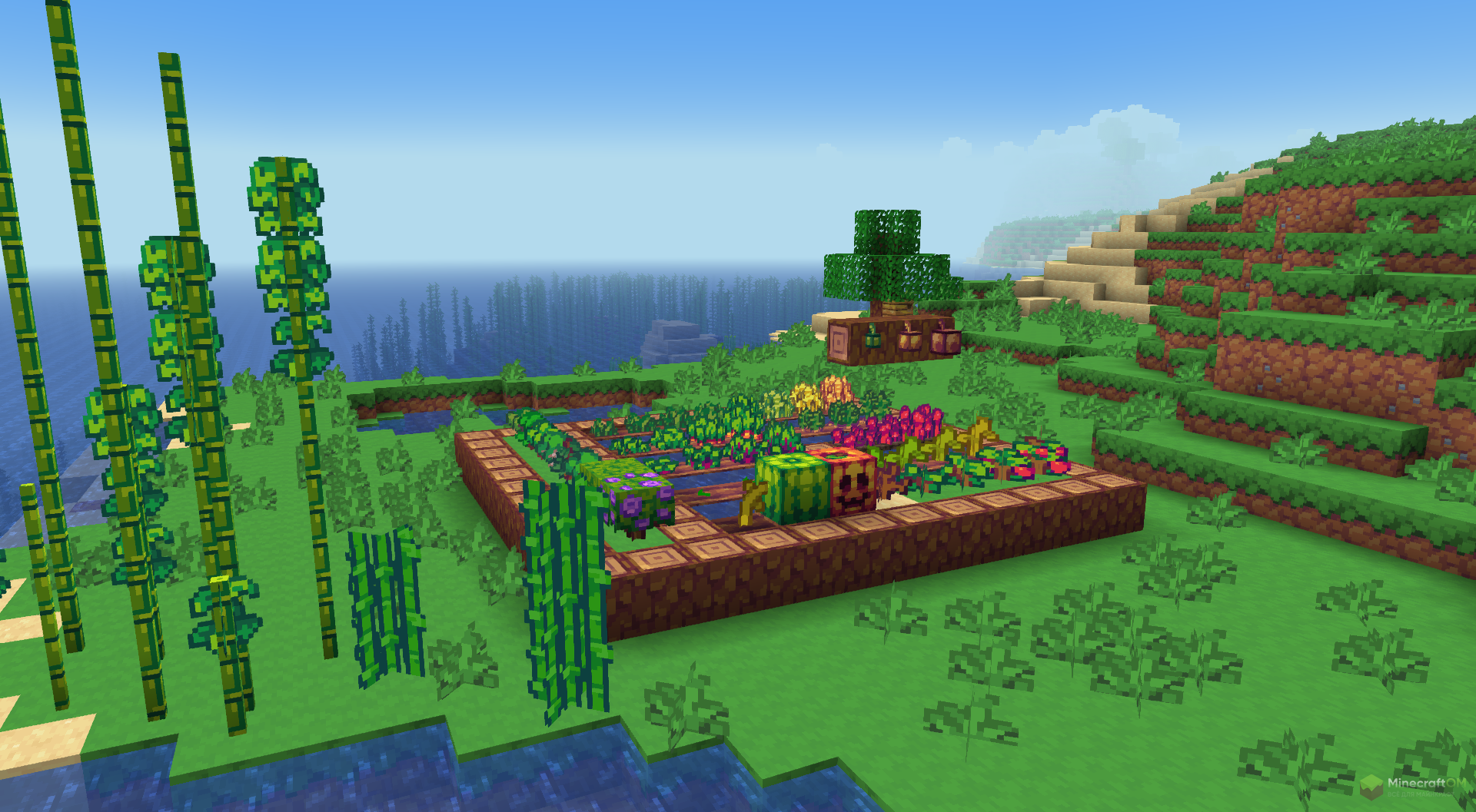 Растительность