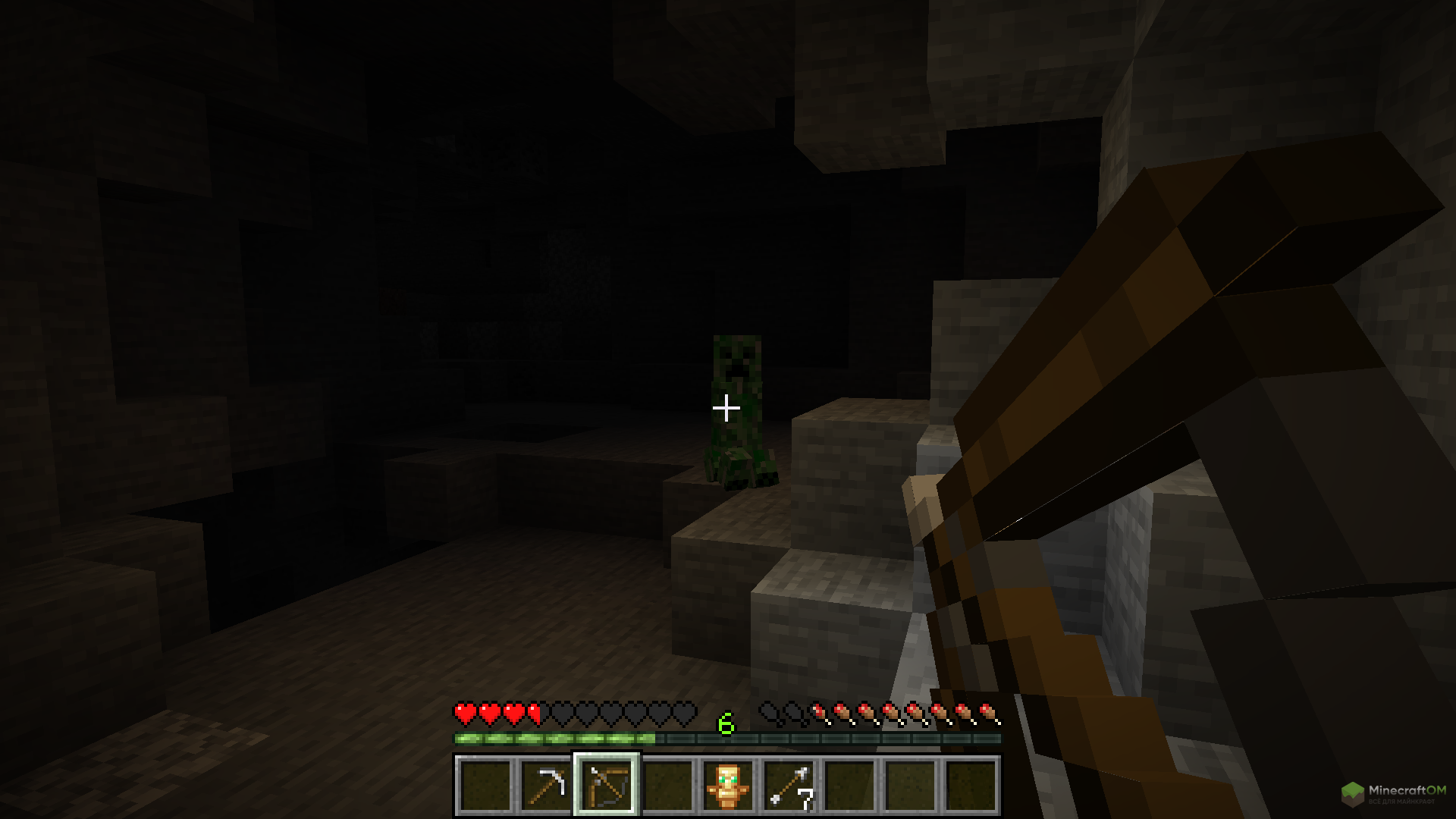 Новый вид лука