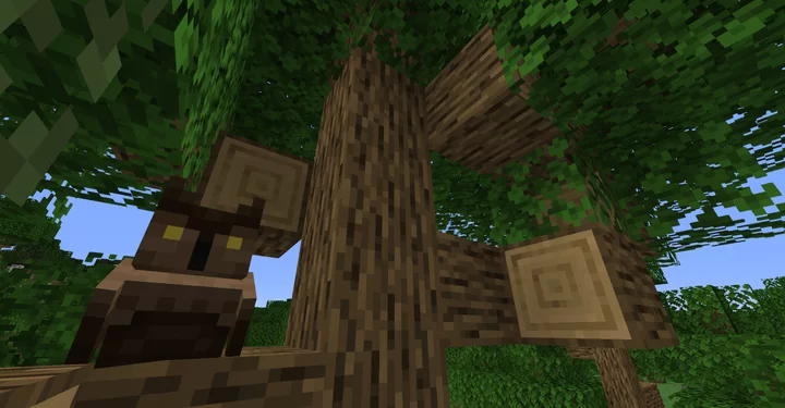 Сова на дереве