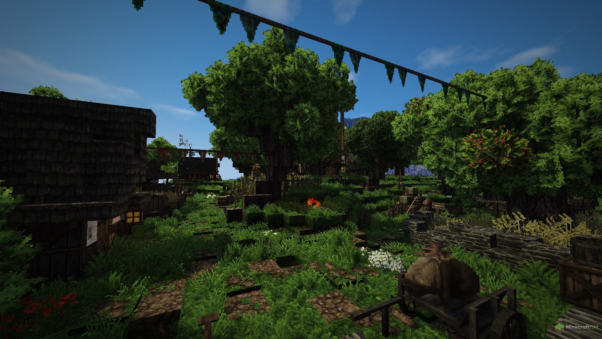 Старые деревья