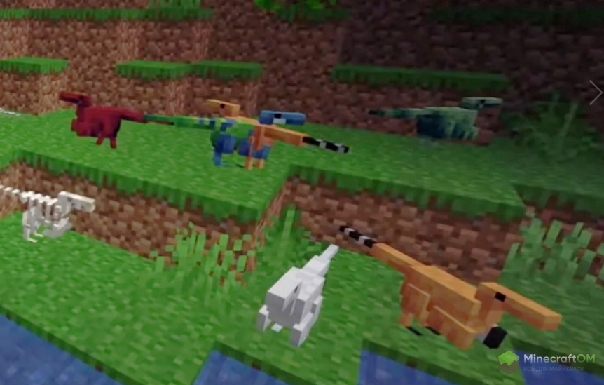 Виды зверей